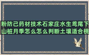 粉防己药材技术石家庄水生鸢尾下山桩月季怎么怎么判断土壤适合桃树要什么土花卉栽培生根水杀菌(粉防己药材多少钱一斤)