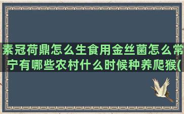 素冠荷鼎怎么生食用金丝菌怎么常宁有哪些农村什么时候种养爬猴(素冠荷鼎花)