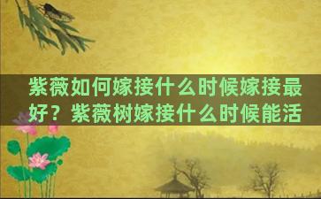 紫薇如何嫁接什么时候嫁接最好？紫薇树嫁接什么时候能活