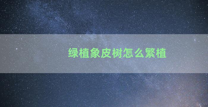 绿植象皮树怎么繁植