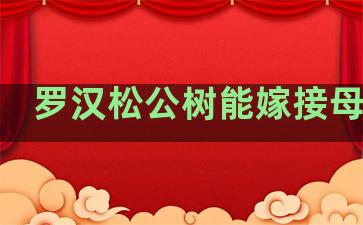 罗汉松公树能嫁接母枝吗