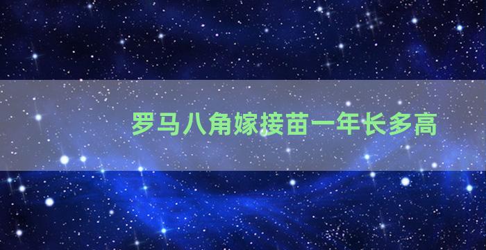 罗马八角嫁接苗一年长多高