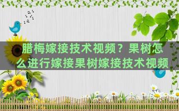 腊梅嫁接技术视频？果树怎么进行嫁接果树嫁接技术视频