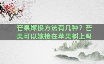 芒果嫁接方法有几种？芒果可以嫁接在苹果树上吗