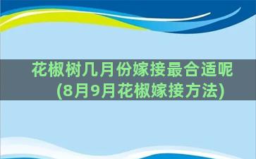 花椒树几月份嫁接最合适呢(8月9月花椒嫁接方法)