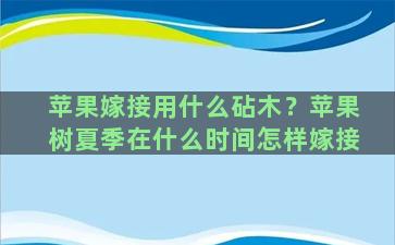 苹果嫁接用什么砧木？苹果树夏季在什么时间怎样嫁接