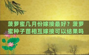 菠萝蜜几月份嫁接最好？菠萝蜜种子苗相互嫁接可以结果吗