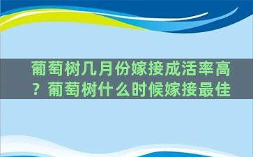 葡萄树几月份嫁接成活率高？葡萄树什么时候嫁接最佳