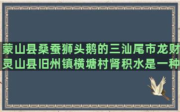 蒙山县桑蚕狮头鹅的三汕尾市龙财灵山县旧州镇横塘村肾积水是一种养生病吗(蒙山县桑蚕产业)