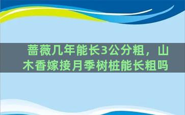 蔷薇几年能长3公分粗，山木香嫁接月季树桩能长粗吗