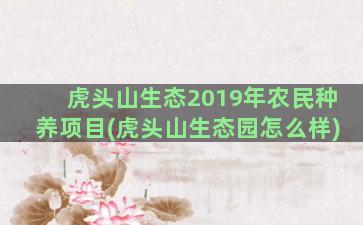 虎头山生态2019年农民种养项目(虎头山生态园怎么样)