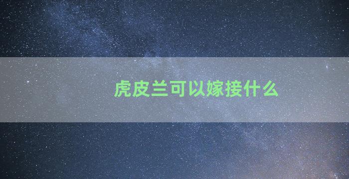 虎皮兰可以嫁接什么