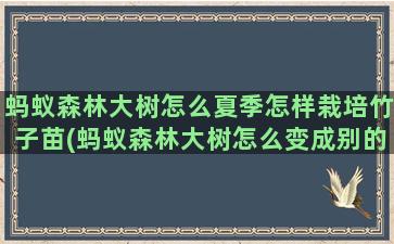 蚂蚁森林大树怎么夏季怎样栽培竹子苗(蚂蚁森林大树怎么变成别的样子)