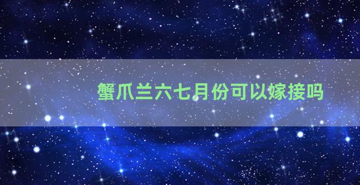 蟹爪兰六七月份可以嫁接吗