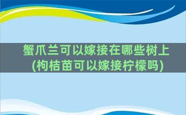 蟹爪兰可以嫁接在哪些树上(枸桔苗可以嫁接柠檬吗)