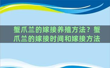 蟹爪兰的嫁接养殖方法？蟹爪兰的嫁接时间和嫁接方法