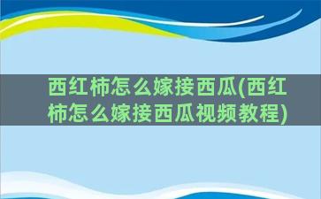 西红柿怎么嫁接西瓜(西红柿怎么嫁接西瓜视频教程)