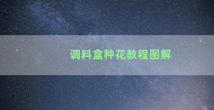 调料盒种花教程图解