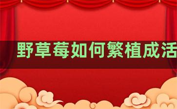 野草莓如何繁植成活率高