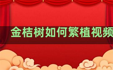 金桔树如何繁植视频教程