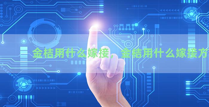 金桔用什么嫁接，金桔用什么嫁接方法好