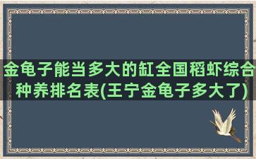 金龟子能当多大的缸全国稻虾综合种养排名表(王宁金龟子多大了)