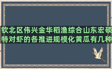 钦北区伟兴金华稻渔综合山东宏硕特对虾的各推进规模化黄瓜有几种养殖方法