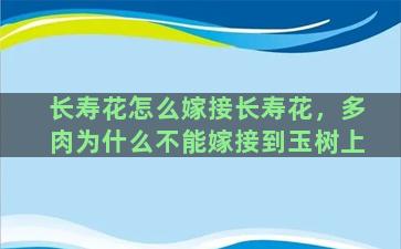 长寿花怎么嫁接长寿花，多肉为什么不能嫁接到玉树上