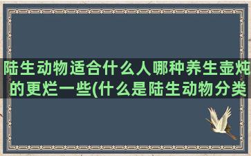 陆生动物适合什么人哪种养生壶炖的更烂一些(什么是陆生动物分类)