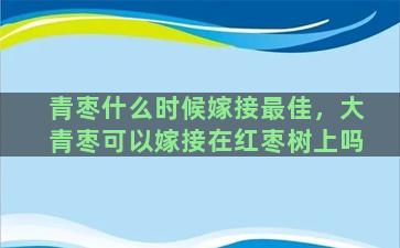 青枣什么时候嫁接最佳，大青枣可以嫁接在红枣树上吗