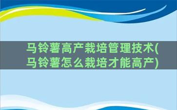 马铃薯高产栽培管理技术(马铃薯怎么栽培才能高产)