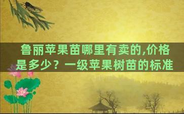 鲁丽苹果苗哪里有卖的,价格是多少？一级苹果树苗的标准