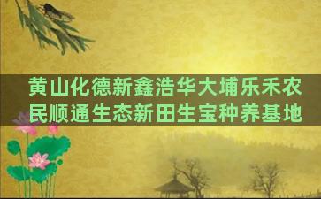 黄山化德新鑫浩华大埔乐禾农民顺通生态新田生宝种养基地