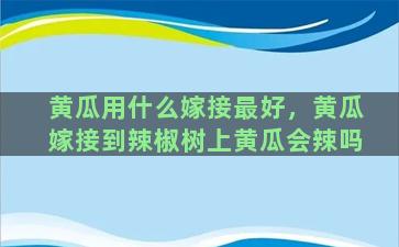 黄瓜用什么嫁接最好，黄瓜嫁接到辣椒树上黄瓜会辣吗