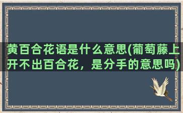 黄百合花语是什么意思(葡萄藤上开不出百合花，是分手的意思吗)