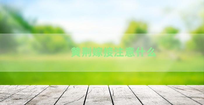 黄荆嫁接注意什么