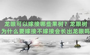 龙眼可以嫁接哪些果树？龙眼树为什么要嫁接不嫁接会长出龙眼吗