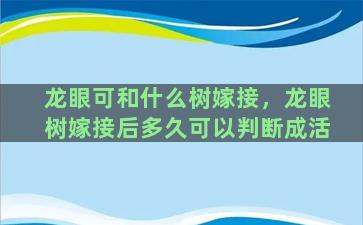 龙眼可和什么树嫁接，龙眼树嫁接后多久可以判断成活