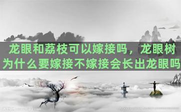 龙眼和荔枝可以嫁接吗，龙眼树为什么要嫁接不嫁接会长出龙眼吗