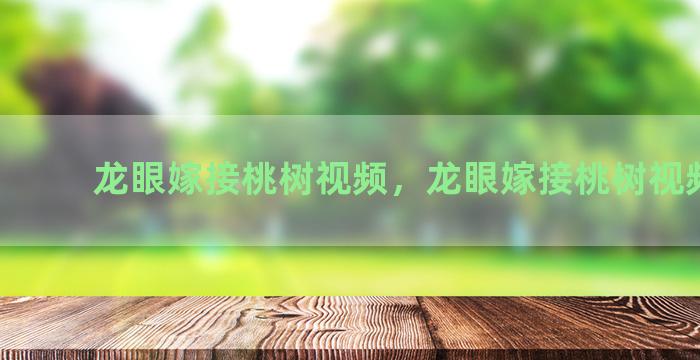 龙眼嫁接桃树视频，龙眼嫁接桃树视频播放